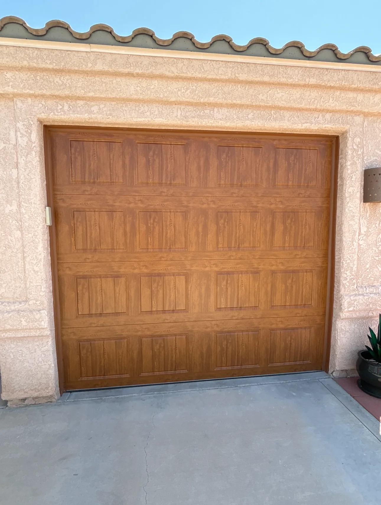 Woodtone Raised-Panel Door
